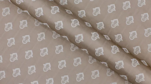 Bellissimo Com Bianco