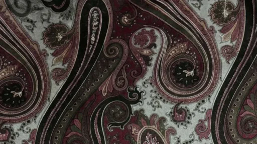 Шенилл лион