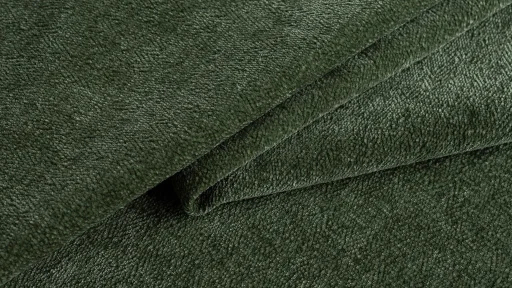 12 Forest 12 Forest